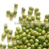 High Quality Dried Green Mung Bean From Vietnam With Best Price thumbnail-1