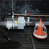 Automatic Poultry Chicken Breeding System