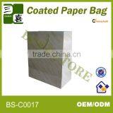 Glossy High Quantity Beautiful Ivory Board Paper Gift Bag