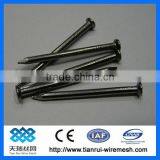 Electro Galvanized Iron Nails (manufacturer) thumbnail-1