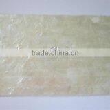 4 Layers Thick White Lip Mop Shell Veneer