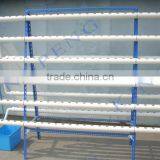 Home Used Indoor Growing Vegetable thumbnail-2