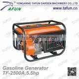 2 Stroke Single Cylinder Petrol GREEN MAX Gasoline 2kw 220v Generator