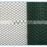 Hebei Steel Company Good Quality Best Factory Price Plastic /PVC Coated Hexagonal Wire Mesh thumbnail-5