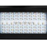 80x3 Watt 240watt Led Grow Light Old Style Cheap Led Grow Light thumbnail-2