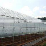 Tunnel Greenhouse for Flowers thumbnail-4
