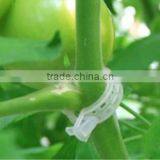 Quality Durable Plastic Sling Clips for Hanging Vegetables thumbnail-5