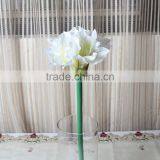 SJ13001116 Artificial Clivia Flower/silk Kaffir Lily Flores thumbnail-2