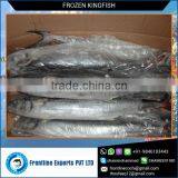 Frozen Kingfish thumbnail-1