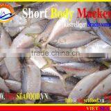 FROZEN SHORT BODY MACKEREL W/R thumbnail-1