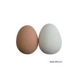 Sell Egg Shaped Bouncing Ball thumbnail-1