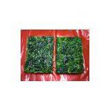 Frozen Spinach thumbnail-2