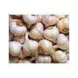 Thick Bright Skin Normal White Garlic 200g / 250g / 500g / 1000g / Net Bag thumbnail-1