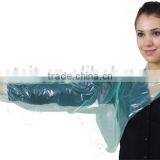 Disposable Clear Safty Food Grad Plastic Gloves thumbnail-2
