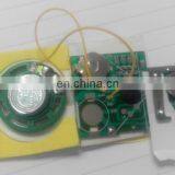 Voice Record/playback Device With 20sec Personal Sound Recording