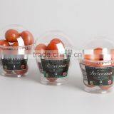 Most Popular in Europe-- Medium Size (9oz/270ml) Translucent Disposable Plastic Ice Cream Cup With Matching Flat or Dome Lids thumbnail-6