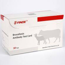 Быстрый тест на антитела к бруцелле крупного рогатого скота и овец