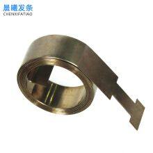 Stainless Steel Constant Force Spring for Boosters Fittings thumbnail-5
