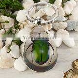 Wholesale Real Starfish Key Chain Rings thumbnail-5