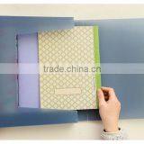 A4 Trasprent /frosted Fashion Plastic File Box With Fastener Suitable for Office thumbnail-2