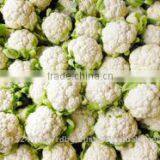 Fresh Cauliflower Exporters/gobi Suppliers in India/fresh Vegetables Export thumbnail-1