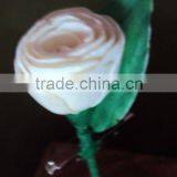 Sola Stick Rose Wedding Flower