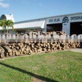 BUDDHA SANDAL LOGS thumbnail-1