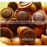 Good Quality Toffee Making Machine thumbnail-2