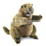 St Costume Dancing Groundhog Plush Type Regular Animal Toys thumbnail-1