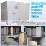 Modular High Density PU Insulation Cold Room Freezer