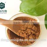 Food Supplement Green Tea Extract 95% Polyphenol Which is Pure and Organic Macha Powder thumbnail-2