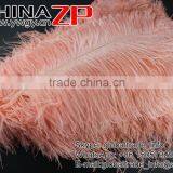 ZPDECOR Trade Assurance Leading Supplier Wholesale Size From 50-55cm Cheap Dyed Champagne Ostrich Feather thumbnail-3