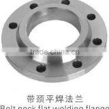 Slip on Flanges