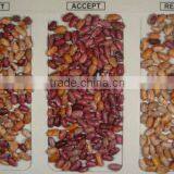 5000+pixel Multifunctional Velvet Bean Processing Machine/vanilla Bean Sorting Machine/jelly Bean Grader thumbnail-2