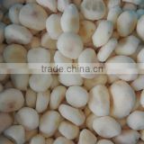 Best quality iqf frozen water chestnuts organic water chestnut