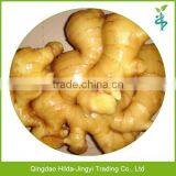2015 Fresh Ginger Wholesale Fresh Ginger