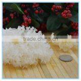 Silver Ear Mushroom Yin Er thumbnail-1