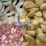 New Condition Industrial Type Electric Drived Garlic Peeler Machine / Small Onion Shelling Machine / With CE thumbnail-4
