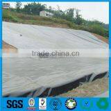 PP Spunbond Nonwoven Fabric Polipropileno Crop Cover With UV Resistant thumbnail-3