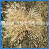 2017 Hot Sale Mini Reaper Binder-combine Harvester thumbnail-6