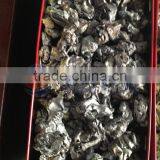 Newest Design Hot Sale Scrap Car Shell Crusher Waste Metal Crusher thumbnail-3