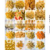 Large Size Double Screw Extruder/2D&3D Pellet Machine/Breakfast Cereals Machine/TVP Soy Protein Machine thumbnail-2