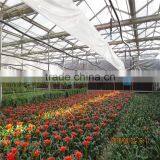 Double Large Multi- Span Low Cost Agricultural Greenhouse thumbnail-3