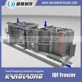 Large Capacity French Fries Freezer With High Quality thumbnail-5