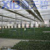 Venlo Agricultural Greenhouse thumbnail-1