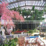 Beautiful Restaurant Greenhouse for Sale thumbnail-1