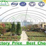 200 Micron Film Greenhouse thumbnail-2