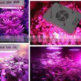 2016 OFF Promotions! Led Grow Light 300w 600w 1000W 5 Watt Chips Full Spectrum Led Grow Lights thumbnail-4
