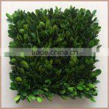 Square Piece Preserved Boxwood Carpet thumbnail-1