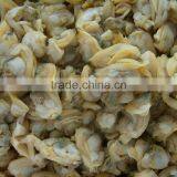 Baby Clam Meat thumbnail-5